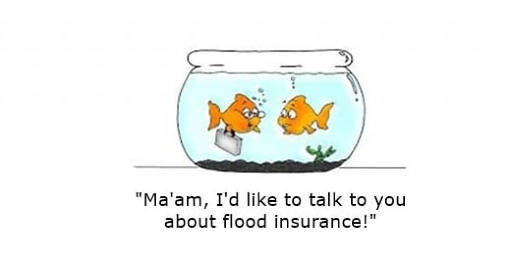 insurance_funny_quote
